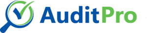 Audit Pro Logo